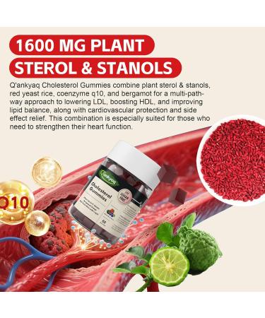 Q'ankyaq Cholesterol Lowering Gummies Plant Sterols & Stanols Supplement Red Yeast Rice with CoQ10 Liquid Drops 1200mg Red Rice Yeast Extract for Cholesterol Health - Buy Online on GoSupps.com