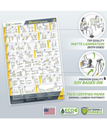 EverStretch Bodyweight Workout Poster - Large 23 x 35 | Video Instructions & Laminated Chart | Home Gym Exercise Poster - Buy Online on GoSupps.com