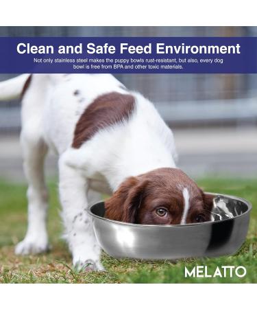 2Pack Stainless Steel Dog Bowls -1500ML- Large Dishwasher Safe Dog Food Bowl Rust and Splash Free Dog Water Bowl- Dog Bowl - Buy Online on GoSupps.com