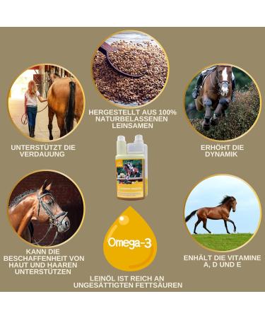 Buy Emma Linseed Oil for Horses & Pets - Cold-Pressed Omega 3 & 6 Fatty Acids for Shiny Fur & Digestion | 2x1L - Ideal for Dogs & Cats - Buy Online on GoSupps.com
