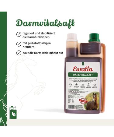 Ewalia Vital Intestinal Juice Premium Quality Feed Supplement for Horses to Support Intestinal Health Natural Stabilization of Intestinal Flora with the Power of Herbs  - Buy Online on GoSupps.com