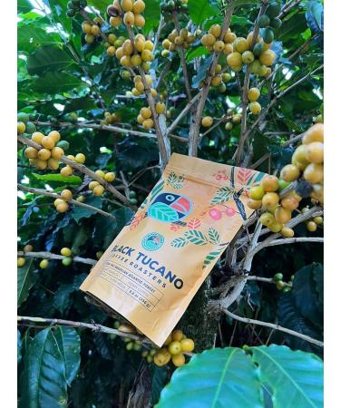Black Tucano Brazilian Specialty Medium Roast Honey Coffee - Premium 86+ Points Ground - 250g 24 Pack - Buy Online on GoSupps.com