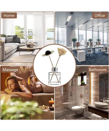 Buy Jnwyh 6-Piece Square Glass Diffuser Bottles Set (50ml) - Perfect for Home Office & Bathroom - International Shipping Available - Buy Online on GoSupps.com