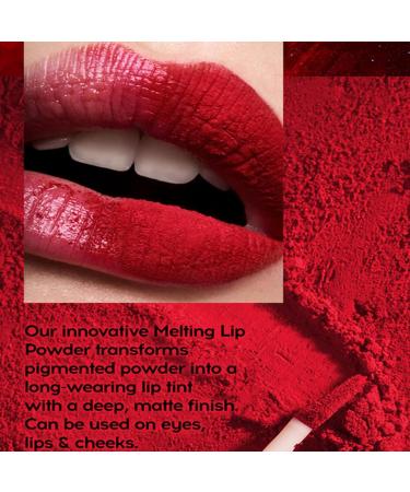 Powder Lipstick | Women's Lipstick - Matte Lip Gloss for Outdoor Meetings Shopping Glossy Lip Makeup - Buy Online on GoSupps.com