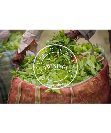Twinings of London Green Tea Selection - 20 Piece Collection (34g) - Premium Quality Green Tea for Optimal Health - Buy Online on GoSupps.com