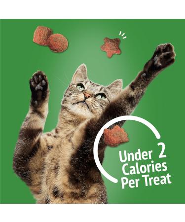 Friskies Party Mix Cat Treats Gravy-licious Crunch Turkey and Gravy - 454 g Cannister (1 Pack) 454 g (Pack of 1) - Buy Online on GoSupps.com