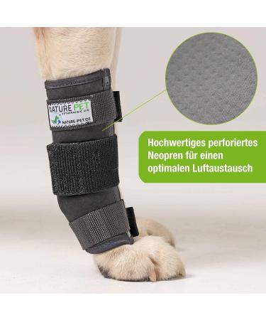 Medium Front Run Bandage for Dogs | Carpal Joint & Bone Protection - Ideal for Light Injuries Ligament Stretching & Leak Protection | 1 Pack - Buy Online on GoSupps.com