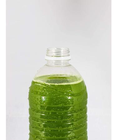 Aiya Matcha To Go - Ceremonial Grade Green Tea Powder Packs (10 Count) - Buy Online on GoSupps.com