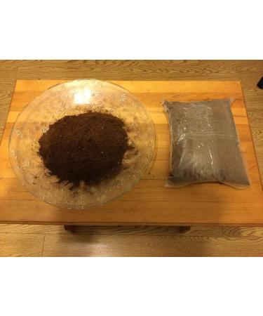 Chaga mushroom powder 400 capsules 500 mg each capsule - Buy Online on GoSupps.com