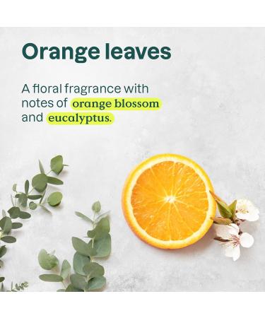 ATTITUDE Plastic-Free Deodorant EWG Verified Aluminum Free Vegan Naturally Sourced Body Deodorants for Women & Men Dermatologically Tested Orange Leaves 3 Ounces (Pack of 6) Orange leaves 3 Ounce (Pack of 6) - Buy Online on GoSupps.com