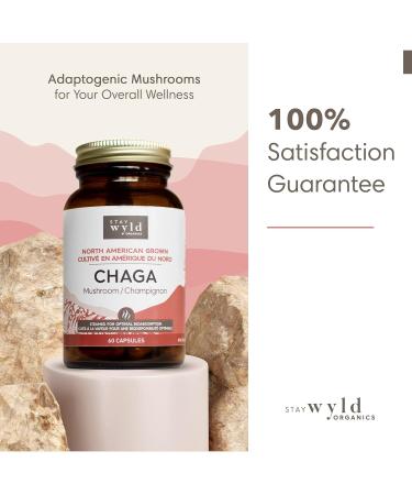 Stay Wyld - Organic Chaga Mushroom Capsules -Natural Cholesterol Level and Immune Support Supplement - 100% Canadian Grown Chaga Fruiting Bodies - Non-GMO Vegan - Mushroom Supplement - 60 Capsules Chaga - Capsules - Buy Online on GoSupps.com