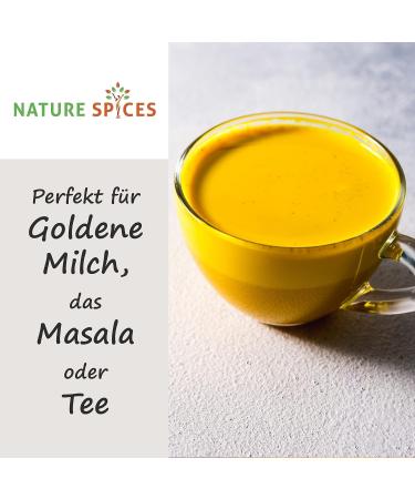 Buy Nature Spices Turmeric Powder 100g | High Curcumin Superfood for Golden Milk Masala & Tea | Authentic Indian Turmeric - Buy Online on GoSupps.com