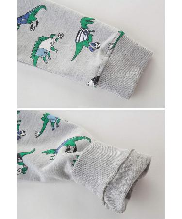 Dinosaur Sweatshirt for Boys | Cotton Long Sleeve Pullover Top for Kids | Toddler Girls Shirts | Baby Clothes 4-5 Years Grey - Buy Online on GoSupps.com