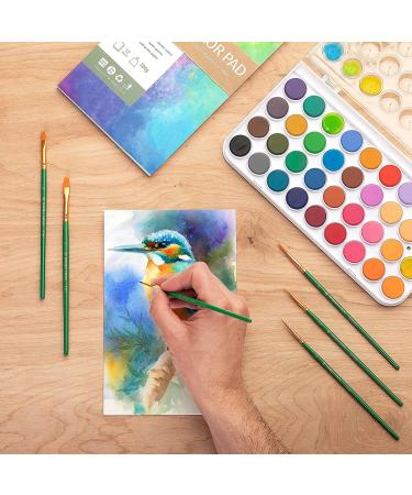 Norberg & Linden Watercolor Paint Set - 36 Premium Paints, 12 Page Pad, 6 Brushes - Painting Supplies with Palette - Watercolors, Art Pad Paper, and Artist Brushes_MG - Buy Online on GoSupps.com