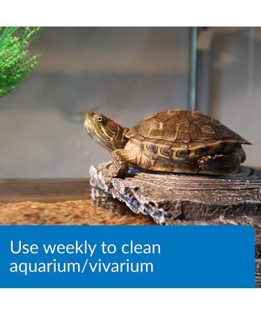 API Turtle Products: Sludge Remover, Water Conditioner, TURTLEFIX Remedy - 8-Ounce Aquarium Cleaner - Buy Online on GoSupps.com