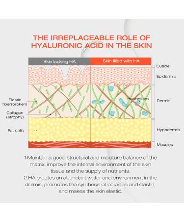 ANECOES Hyaluronic Acid Serum Deep Hydration and Long-Lasting Moisture Repair Skin Barrier Brighten Soothe Anti-aging Glass-Skin Glow Great for All Skin Types (1.5ml/0.05FL.OZ*30) - Buy Online on GoSupps.com