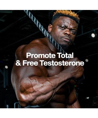 MuscleTech Testosterone Booster for Men AlphaTest (150 Capsules) - Workout Testosterone Supplement for Men - Sports Nutrition Testosterone Booster for Endurance Strength & Muscle Builder - Buy Online on GoSupps.com