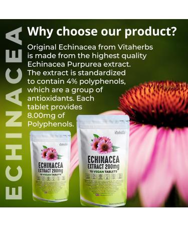 Vitaherbs Echinacea Tablets 200mg - 70 Vegan Tablets | Premium Quality Echinacea Purpurea Supplement - Made in the UK - Buy Online on GoSupps.com