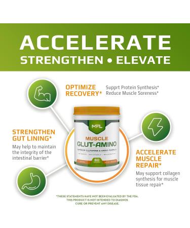 MFL Muscle Glut-Amino | Glutamine Complex | Amino Complex | 0 Sugar | Sweetened with Stevia | All-Natural | 60 Servings (Natural) - Buy Online on GoSupps.com