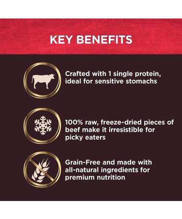 Wellness CORE Bare Bowl Boosters for Dogs - Grain-Free Freeze-Dried Beef Topper - 4oz Bag - Buy Online on GoSupps.com