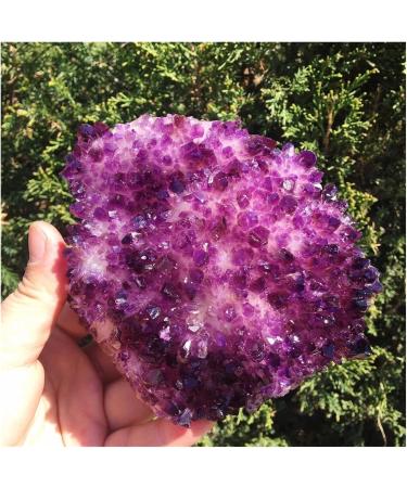 1pc Natural Purple Crystal Flower Like Crystal Cluster Quartz Crystal raw Stone gem Decoration Crystal Cluster (Color : 400g-480g Size : 1pcs) 1pcs 400g--480g - Buy Online on GoSupps.com