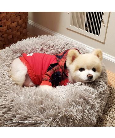 Fitwarm 100% Cotton Plaid Dog Hoodie | Lightweight Pet Sweatshirt for Dogs and Cats | Red Hooded Outfit - Buy Online on GoSupps.com