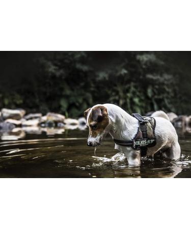 Buy K9 Powerharness XL/2 - Camouflage Dog Harness for Ultimate Comfort & Durability | International Shipping Available - Buy Online on GoSupps.com
