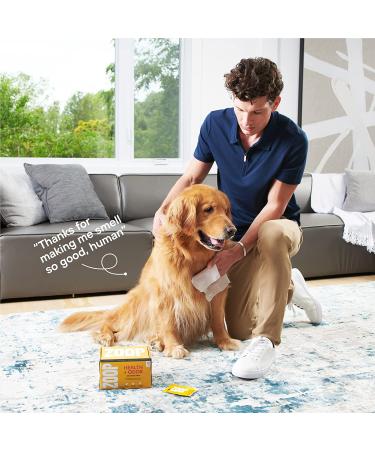 ZOOP Dog Wipes - Natural Whole-Body Odor Eliminator for Dogs & Cats | Fragrance-Free | 60 Count - Buy Online on GoSupps.com
