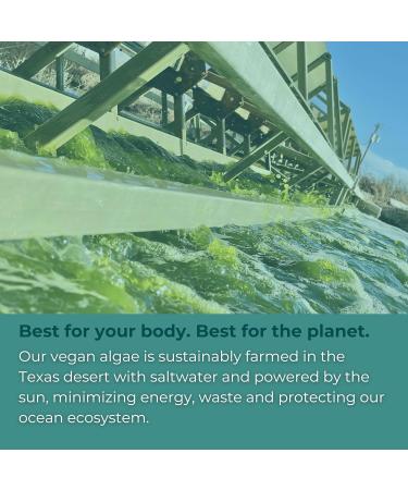 Iwi Omega-3 Sport 60 Softgels (30 Servings) Plant-Based Vegan Algae Omega 3 with DHA Exercise Recovery Support Dietary Supplement Krill & Fish Oil Alternative No Fishy Aftertaste - Buy Online on GoSupps.com