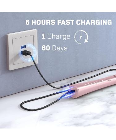 Wagner & Stern Ultrasonic Electric Toothbrush with 8 Charcoal Black Heads for Fresh Breath & Healthy Smile - Pink - Buy Online on GoSupps.com