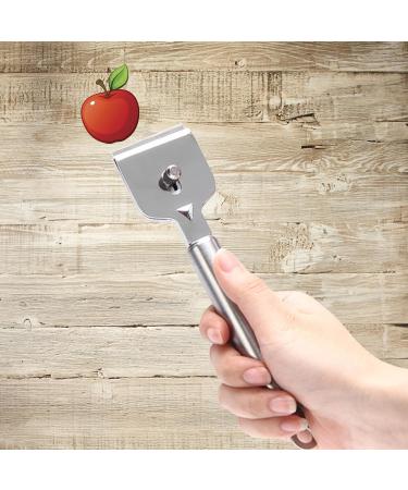 Stainless Steel Ceramic Hob Scraper - Stainless Steel Glass Scraper with 4 Replacement Blades - Ceramic Hob Scraper for Glass and Induction Cooktops 12b - Buy Online on GoSupps.com