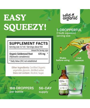 Wild & Organic Goldenseal Tincture - Respiratory Lung Health Drops & Digestive Support - 4 oz Liquid Extract - Buy Online on GoSupps.com