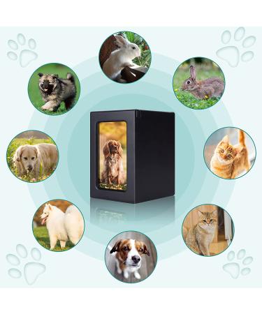NEWDREAM Dog Urns for Ashes - Wood Keepsake Memorial Pet Ashes Photo Box in Black - Buy Online on GoSupps.com