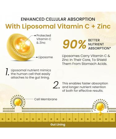 HIMALAYAN ORGANICS Organics Plant Based Vitamin C with Zinc - 120 Veg Capsules - Buy Online on GoSupps.com