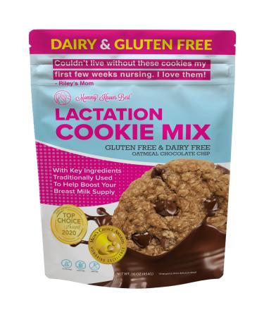 Lactation Cookie Mix - Gluten/Dairy Free - Chocolate Chip - 16 oz