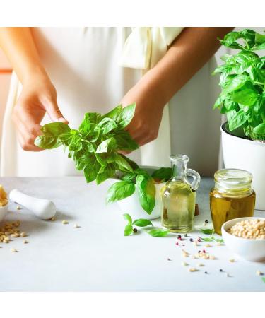  LA PLANTIGO Dried basil in leaves 500 g - LA PLANTIGO - Buy Online on GoSupps.com