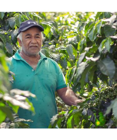 Equator Roasters NTH Degree Dark Organic Dark Roast Coffee Locally Roasted Specialty Coffee Fair Trade Arabica Coffee Smokey Molasses Coffee with Bold Flavor Profile Artisanal Dark Coffee Nth Degree Dark 908 g (Pack of 1) - Buy Online on GoSupps.com