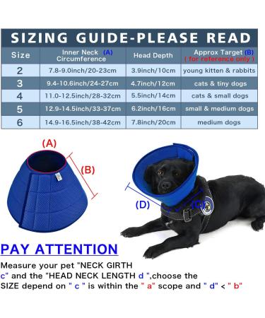 Adjustable Soft Recovery Elizabethan Collar for Dogs & Cats - Newsbirds Blue Medium Size 6 - Convenient Protective Pet Neck Guard - Buy Online on GoSupps.com