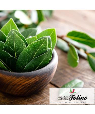 Extra Extra Luxurious Olive Oil 0.25 Litre - Ideal for Meat Fish Salad - Made in Italy - Buy Online on GoSupps.com