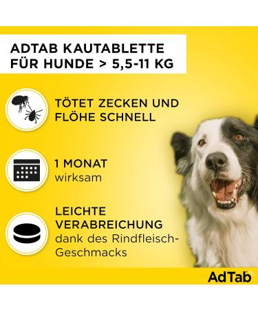 Sparset Double Pack Pass Dogs Tick & Flea Protection - Chewing Tablets for 5.5 to 11 kg Dogs | Fast-Acting Monthly Defense | Easy Administration | Savings Set - Buy Online on GoSupps.com