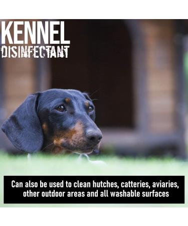 ULTIMA-PLUS XP Kennel Kleen - Disinfectant Cleaner Sanitiser Deodoriser Concentrated For use in Kennels Catteries Hatches and More! Lavender Fragrance 5 L 5 count (Pack of 1) - Buy Online on GoSupps.com