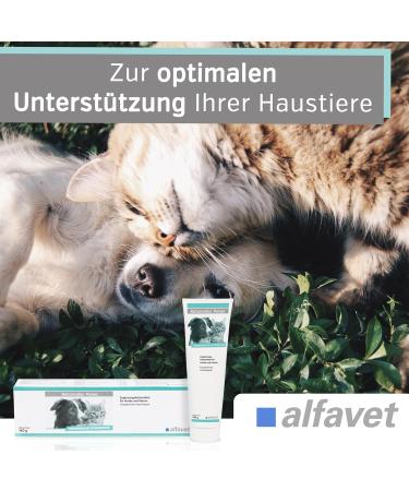 Alfavet Reconvales Power 140g - High Energy Vitamin Paste for Dogs & Cats | Sugar-Free Malt-Free Iodine-Free | Easily Digestible & Tasty Supplement - Buy Online on GoSupps.com