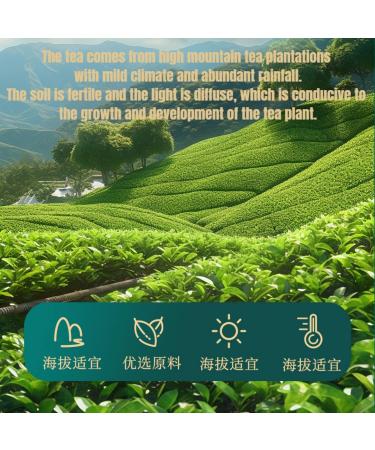 HQZM Premium Green Thee Verny Environmental Legal Member Bom 200 g 100 g * 2 - Buy Online on GoSupps.com