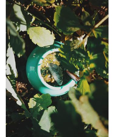 Organic Yerba Mate Green Bio 400g - Natural Energy Booster & Caffeine-Rich Tea with Fruits | Premium Quality Mate Tea - Buy Online on GoSupps.com