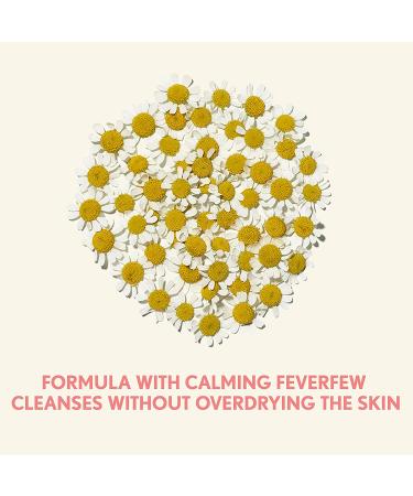 Aveeno Ultra-Calming Foaming Cleanser - Fragrance-Free 6 fl oz | Gentle Skin Care - Buy Online on GoSupps.com