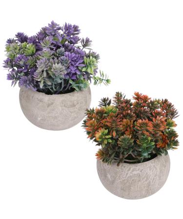 Ciieeo 2pcs Simulated Green Bonsai Artificial Succulents Plants Miniture Decoration Artificial Cactus Small Succulent Plants Silk Plants Greenery Decor Accessories Office Foam Nordic