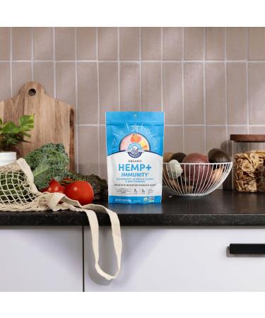 Manitoba Harvest Organic Hemp+ Immunity Elderberry Acerola Cherry & Beet Powder Smoothie Booster Powder Blend 7.5 oz - Buy Online on GoSupps.com