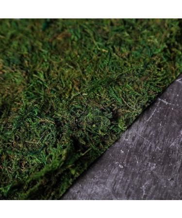 Usmola Moss Mat 11.8 Inch - Pack of 3 Dark Green Moss Mats for Woodland & Garden Party Decor - Buy Online on GoSupps.com