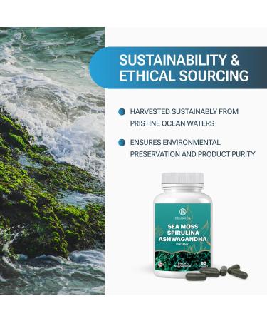 Belmonia Sea Moss with Spirulina and Ashwagandha Blend Capsules Mood Immune Support & Stress Relief Micro Ingredients & Antioxidants Source Non-GMO Vegan Superfood Supplement 90 Count - Buy Online on GoSupps.com