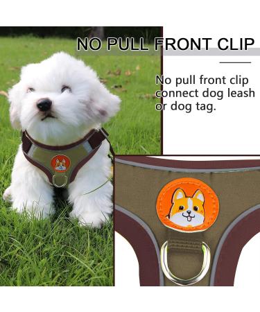 Rennaio No Pull Dog Harness Set - Adjustable & Comfortable Chest Harness with Leash for Small & Medium Dogs - Brown M - Buy Online on GoSupps.com